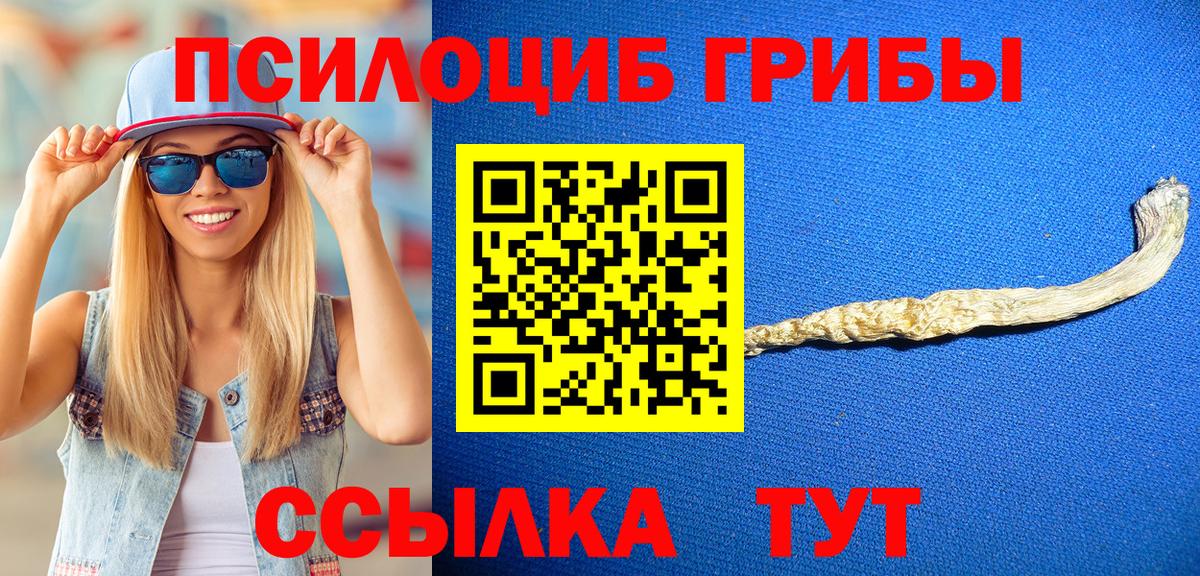 Фрязино  Псилоцибиновые грибы MAGIC MUSHROOMS  Галлюциногенные грибы Magic Shrooms  Вход с VPN 