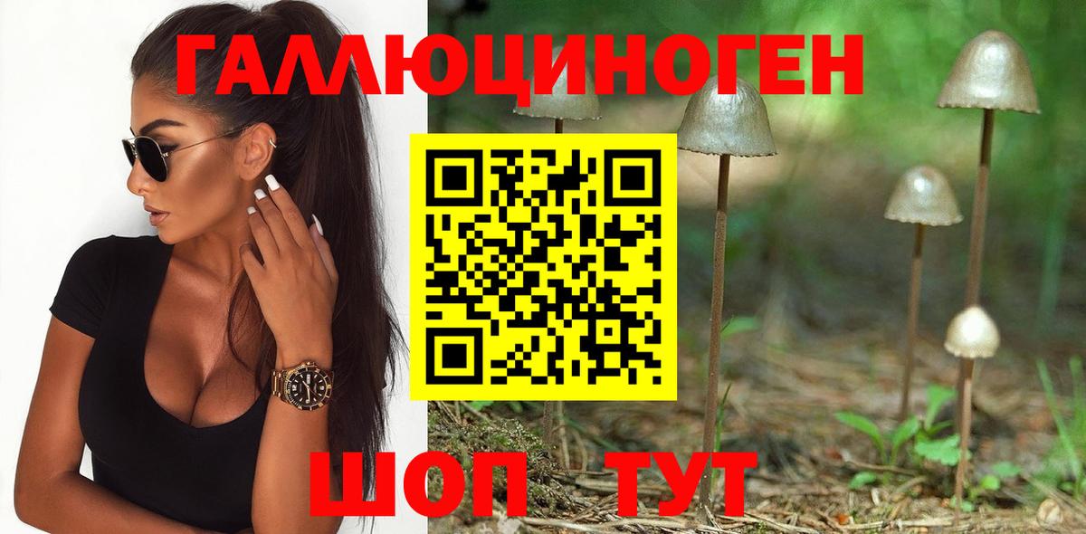 Псилоцибиновые грибы мицелий Фрязино